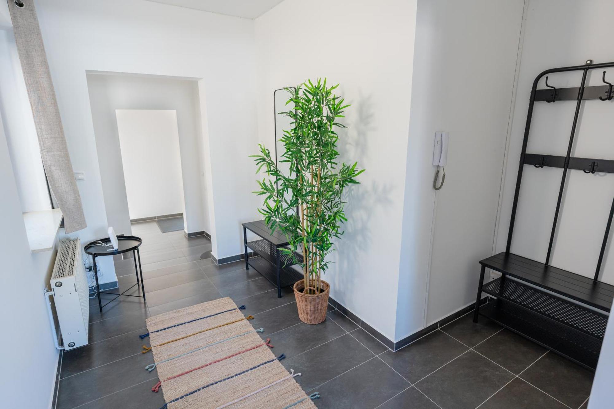 Luxury Penthouse - Augarten Wien Exteriör bild